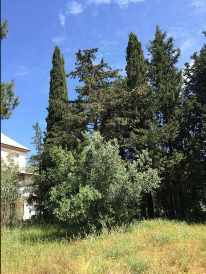 Villa Salomi Lefkada City Ngoại thất bức ảnh